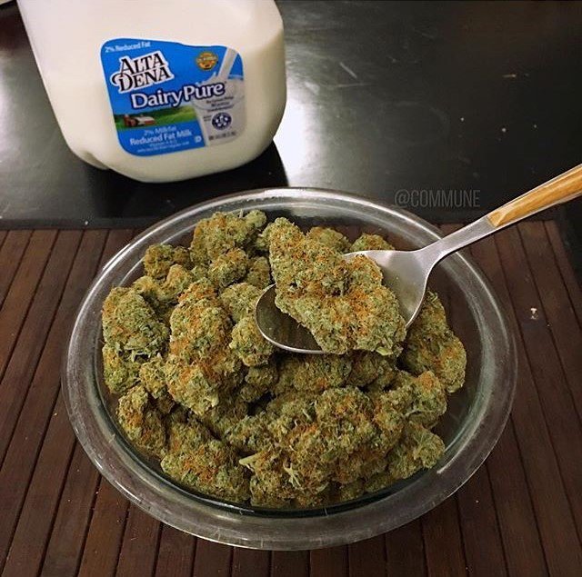 HIGH_TIMES_Mag's tweet photo. Breakfast of champs! 🥛 Go get 'em.

📷: https://t.co/7uEPTxComv https://t.co/PCzxZMHO1Q