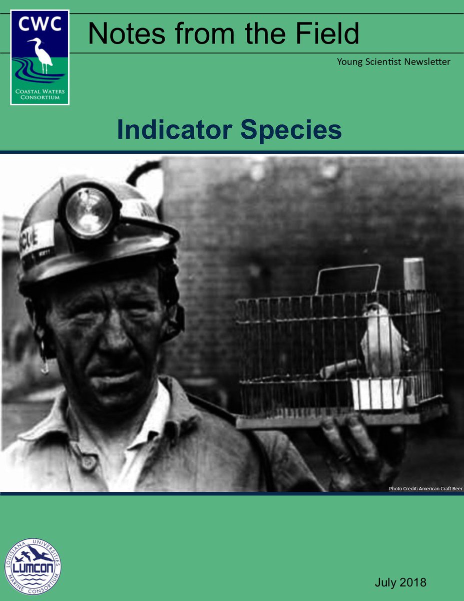 CWCeducator's tweet photo. The July 2018 issue of "Notes from the Field" is posted! We examined indicator species this month with a focus on coastal and salt marsh indicators. We hope you enjoy the newsletter!
https://t.co/GjiIehmxhN https://t.co/PP0mPNzMNG