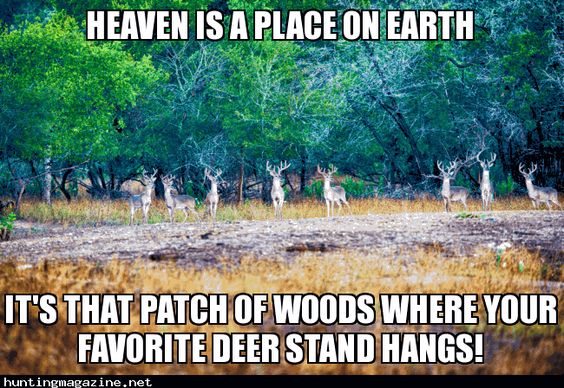 God Country Outdoor (@deerhunting313) on Twitter photo 