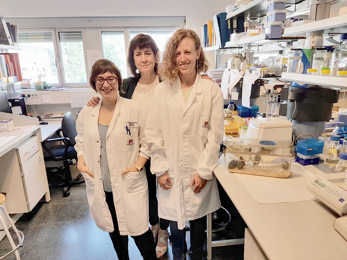 Universitat Autònoma de Barcelona (@uabbarcelona) on Twitter photo Un equip d’investigadors de la #UAB, liderat per la professora Fàtima Bosch, aconsegueix curar l’obesitat i la diabetis tipus 2 en ratolins amb una única injecció ➡ uab.cat/web/sala-de-pr… #recercaUAB <a href="/recercat/">compte no operatiu</a> <a href="/universitatscat/">compte no operatiu</a> Un equip d’investigadors de la #UAB, liderat per la professora Fàtima Bosch, aconsegueix curar l’obesitat i la diabetis tipus 2 en ratolins amb una única injecció ➡ uab.cat/web/sala-de-pr… #recercaUAB <a href="/recercat/">compte no operatiu</a> <a href="/universitatscat/">compte no operatiu</a>