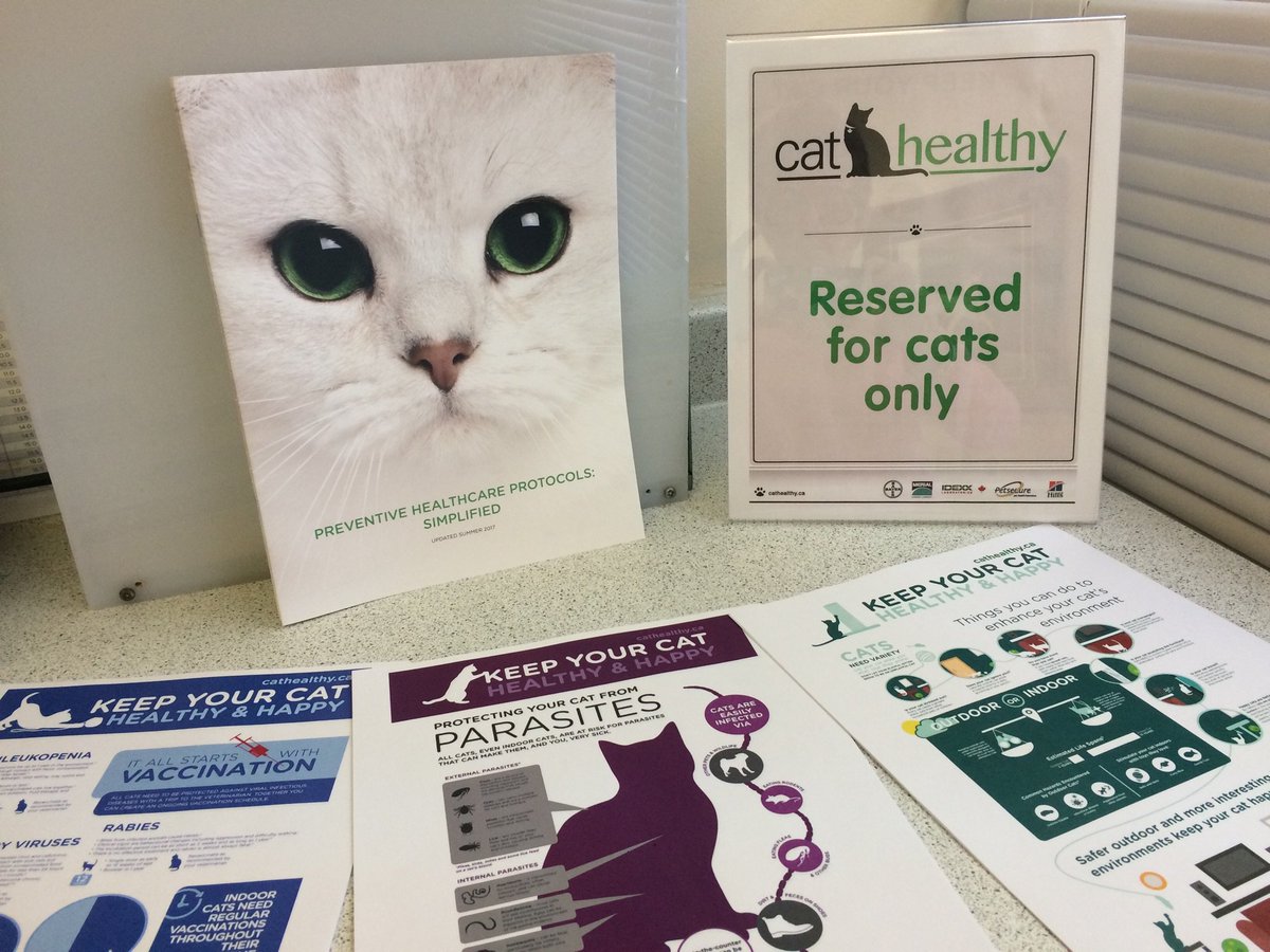 How is your clinic using the <a href="/cat_healthy/">Cat Healthy</a> resources <a href="/OnVetMedAssoc/">OVMA</a> <a href="/CanVetMedAssoc/">Canadian Veterinary Medical Association</a> members? Here are what we have printed and have available <a href="/thecat_clinic/">The Cat Clinic</a> <a href="/thevillage_cat/">Village Cat Clinic</a>. Our clients love them! Check out cathealthy.ca to help your feline patients and cat clients.