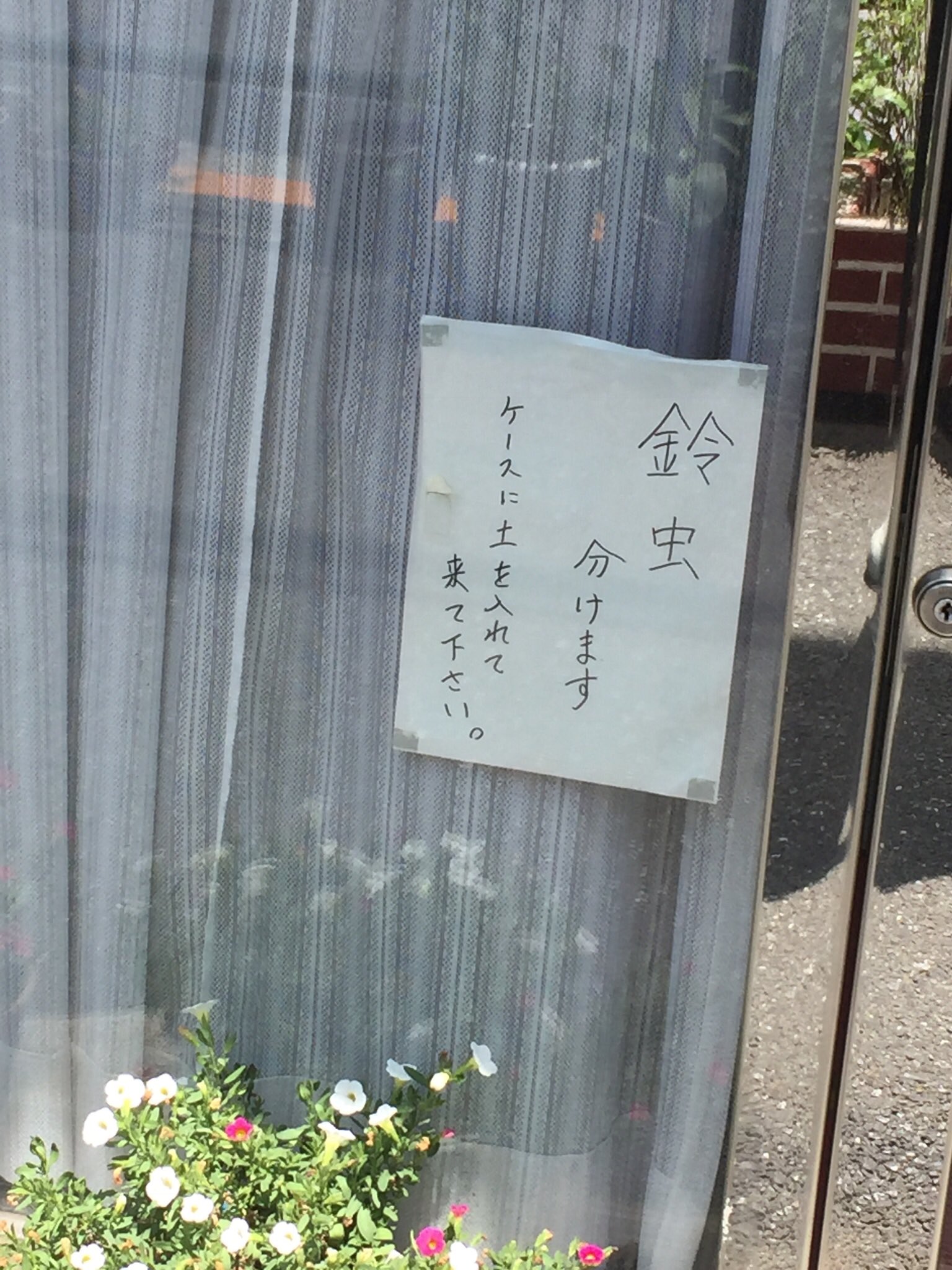 私とちびまる子 Twitter