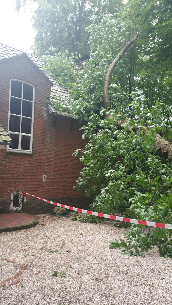 Marina Alings tweet media