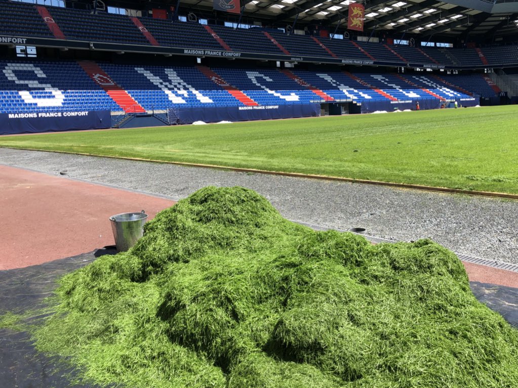 Le stade Michel d'Ornano - Page 7 DhqkpqrWAAE6pBG
