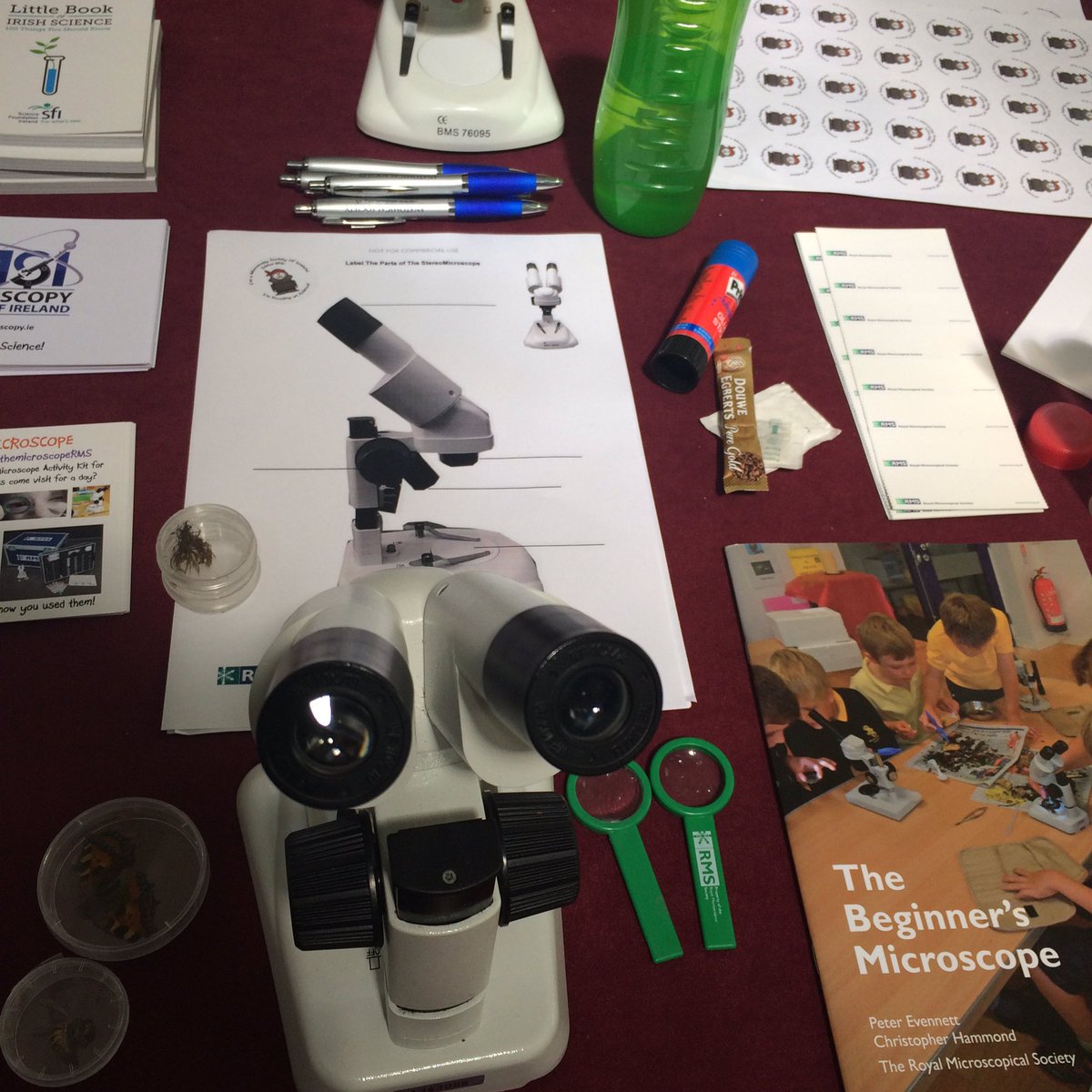 Muriel Grenon tweet media