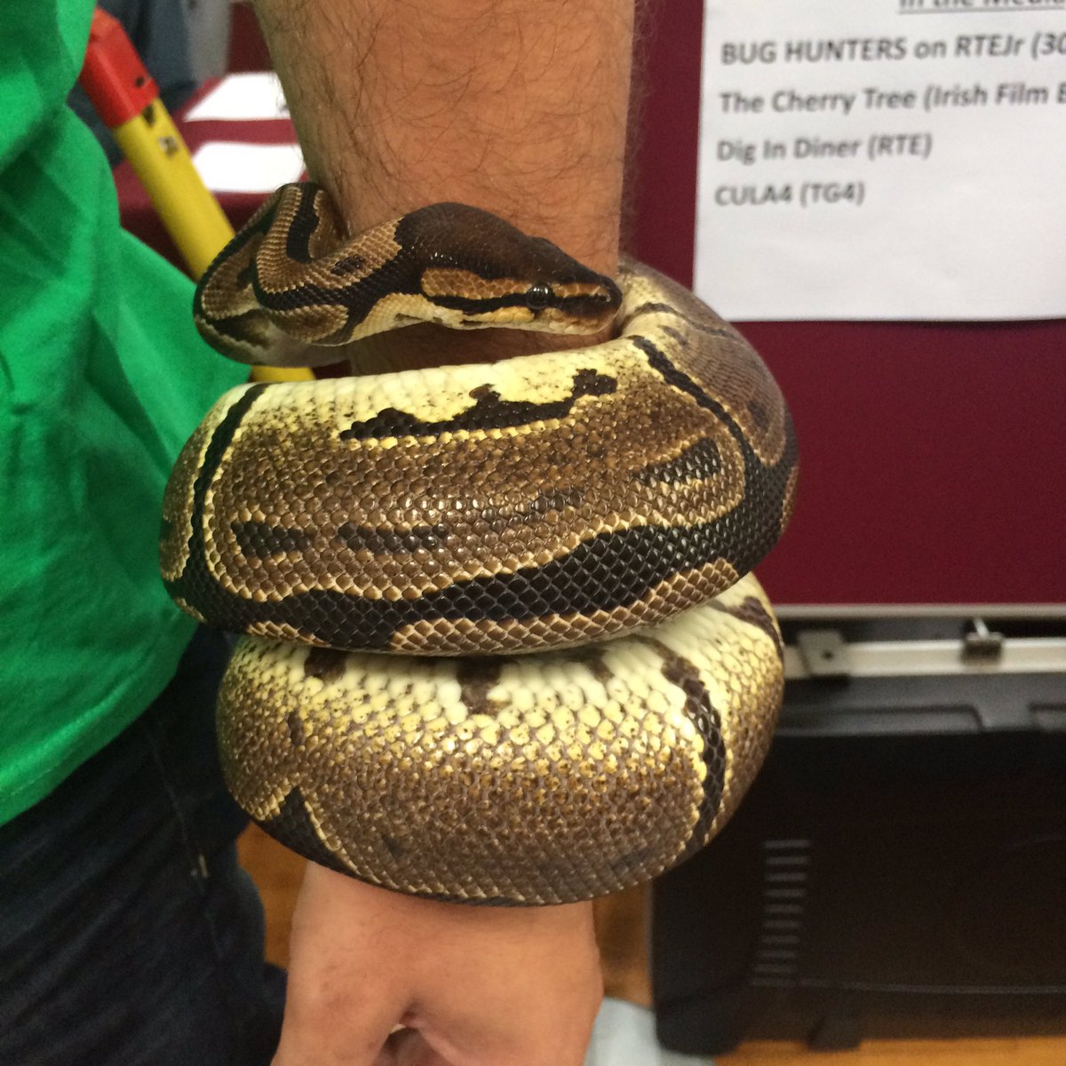 Muriel Grenon tweet media