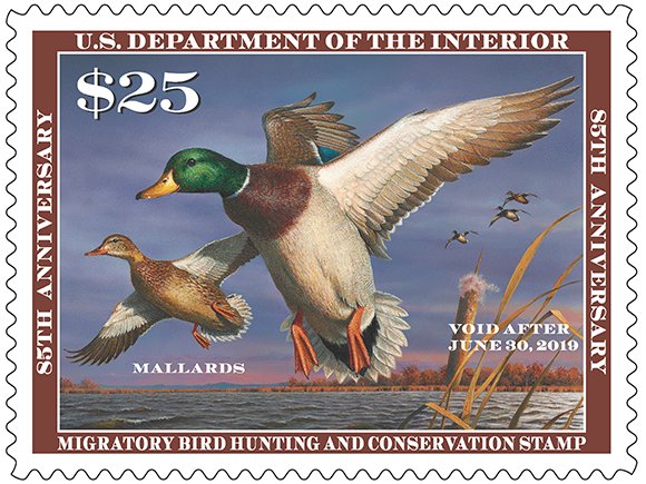 thanks4hunting tweet picture