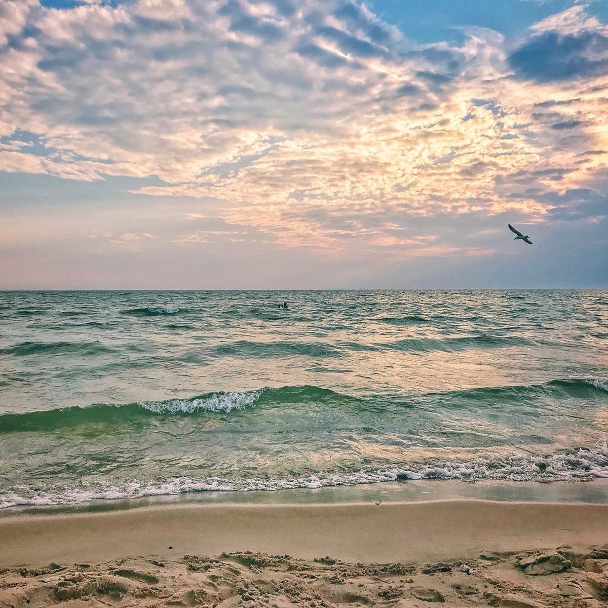 “Never give up, for that is just the place and time that the tide will turn” 🌊 #MondayMotivaton #beachlifemindset #beachtherapy