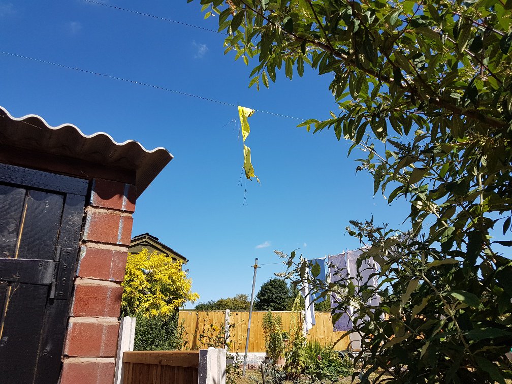 NWPWrexhamRural's tweet photo. Parasol causes powercut in #Chirk #NWPolice was in attendance to corden off area. #pcsomartin #pcsodean https://t.co/BwFnqtkxg6 https://t.co/zNMfVbfySk