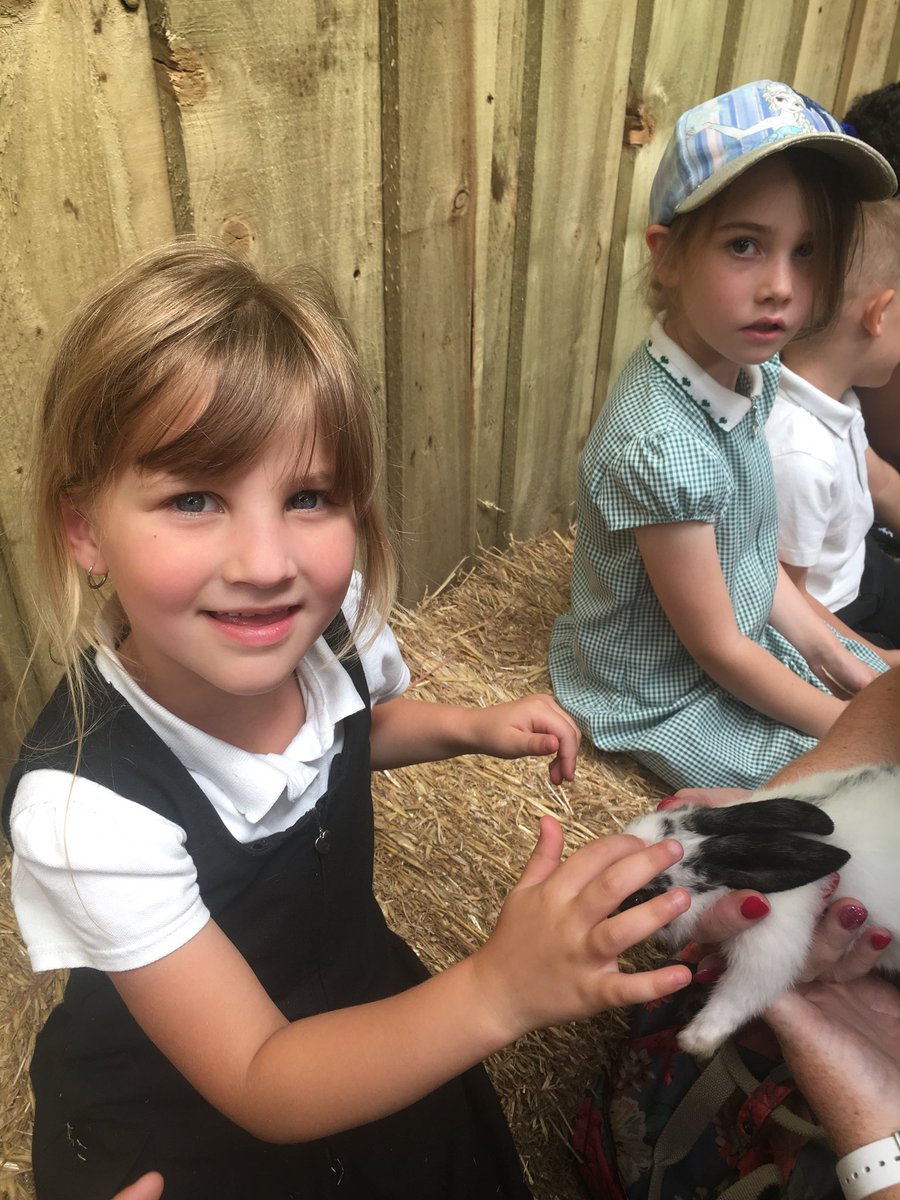 EltonEyfs's tweet image. Fun on a Monday  ... EYFS visit Smithills Farm #farmfun #funtolearn #makingmemories