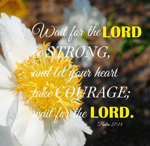 BibleTimeFun's tweet image. If there is anything we don't like to do, it's wait. Maybe that is why God is so interested in us learning to do it!
So God gives us times of waiting to build our endurance because our endurance will increase our faith in him.

#bibleverse #bibleverseaday #Bibletimefun #GodIsGood