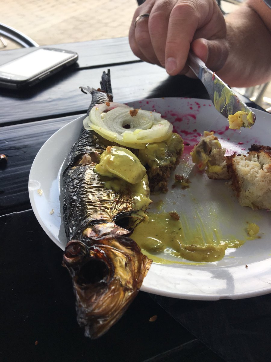 Simonsen68's tweet image. Sildekongen er i gang 😂🐠