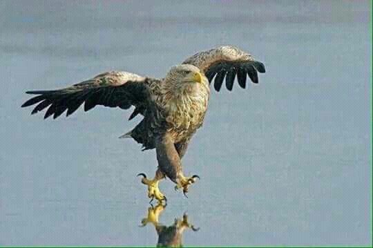 theodox_dip's tweet photo. How I'll be walking about on convo day
#July20IsAReality https://t.co/vocerh6e2G