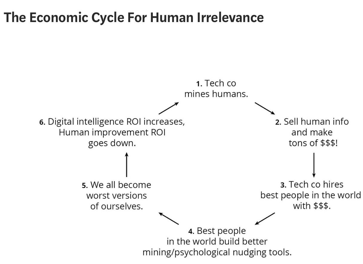 best human race in the world