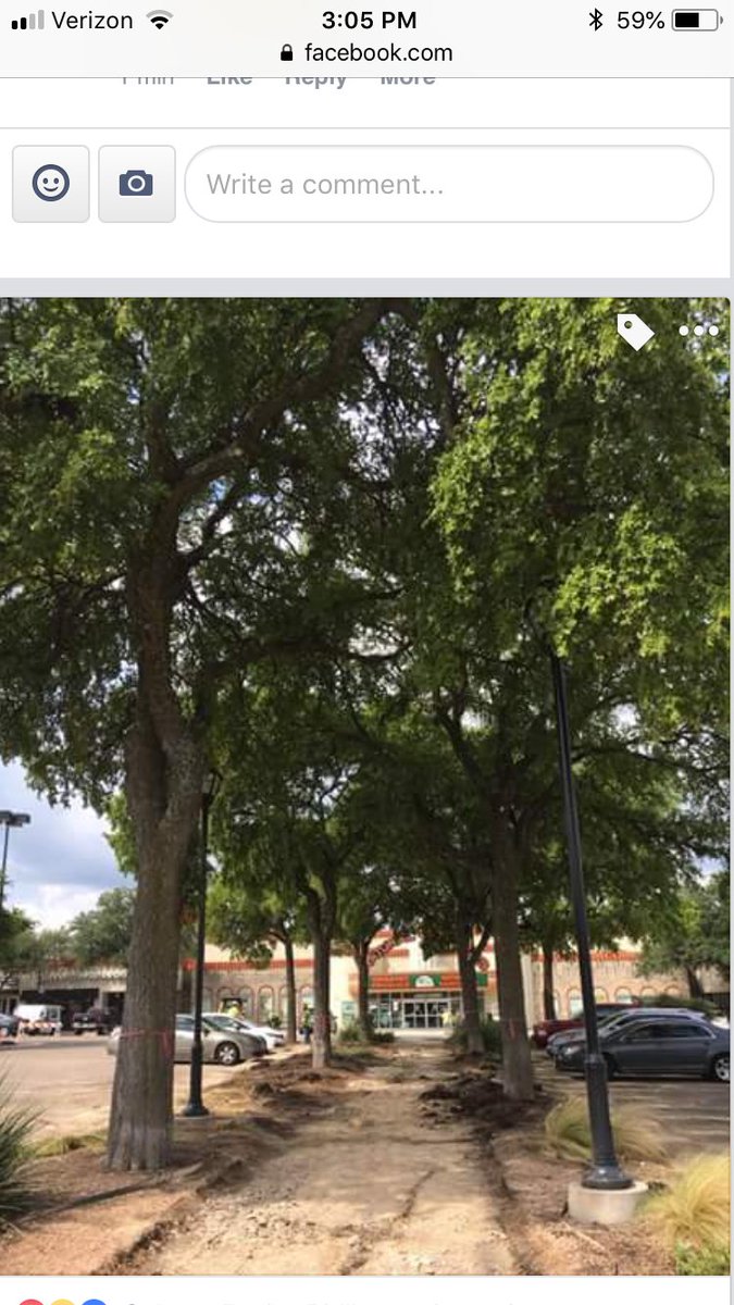 LDaroche's tweet photo. @WEareEDENS stop cutting down trees.
#lorax #weareedens https://t.co/FxqDPWwvv3