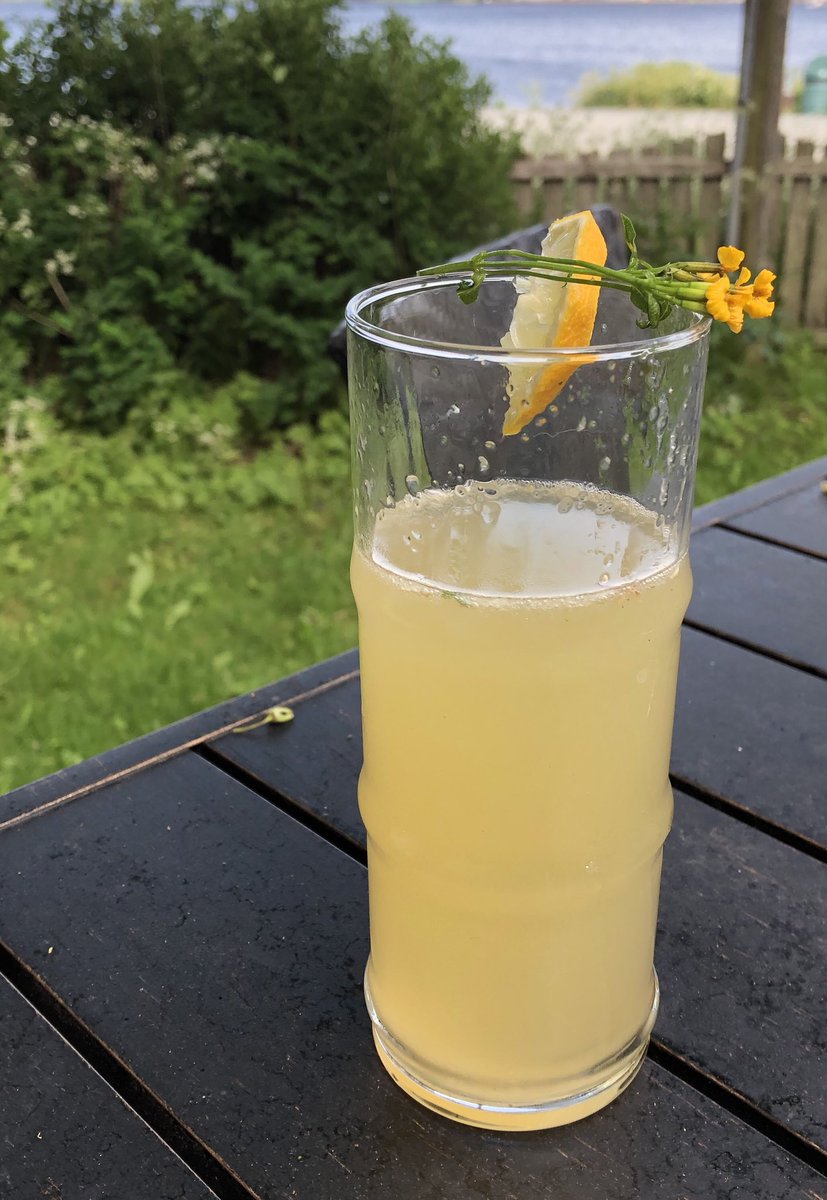 Lynn Moriarity tweet media