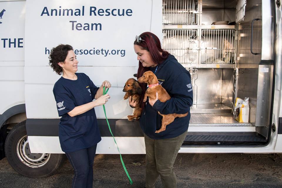 humaneworldorg tweet picture