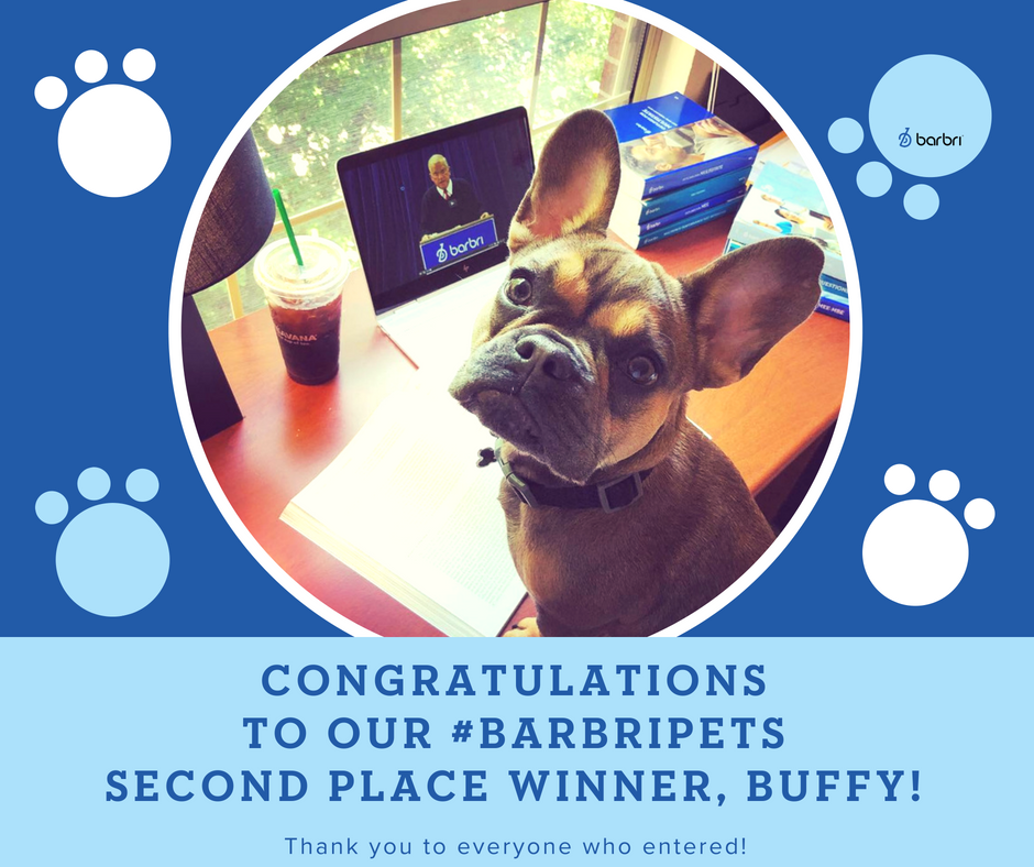 barbri's tweet photo. The second place winner of our #BARBRIPets contest is Buffy! It definitely was not an easy decision and we want to thank everyone who entered their loyal #studybuddy!

#BARBRI #OwnTheBar #BarBreak #BarPrep #BarPrepLife #lawschool #BarExam #LawStudent #FutureLawyer #Bar2Bar https://t.co/SUNWE94B98