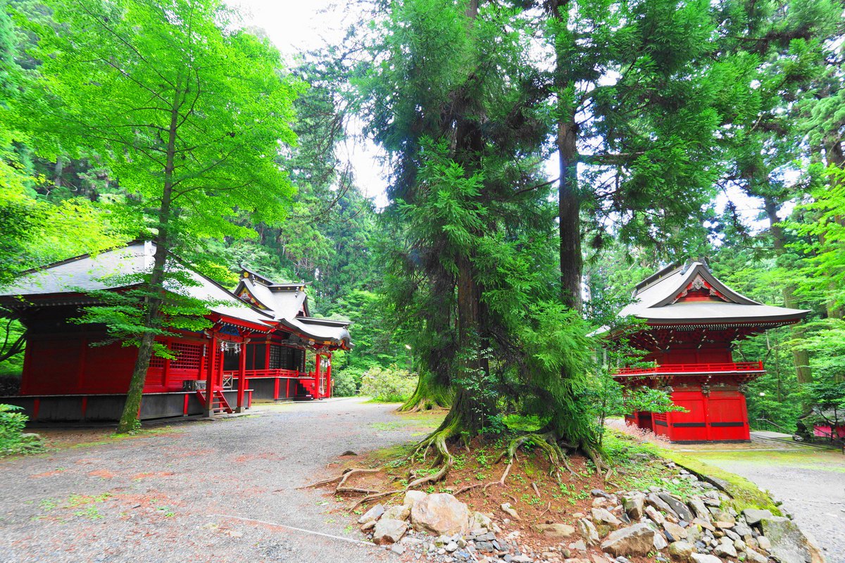 気まぐれのリュウ Auf Twitter 茨城県北茨城市 新緑の花園神社と花園渓谷にて 涼しさを求めて 新緑の花園渓谷を訪れました 秋の紅葉シーズンにも訪れたいと思います 花園渓谷 北茨城市 花園神社 渓谷 写真好きな人と繫がりたい 風景 Picture カメラ 気まぐれのリュウ Auf Twitter 茨城県北茨城市 新緑の花園神社と花園渓谷にて 涼しさを求めて 新緑の花園渓谷を訪れました 秋の紅葉シーズンにも訪れたいと思います 花園渓谷 北茨城市 花園神社 渓谷 写真好きな人と繫がりたい 風景 Picture カメラ