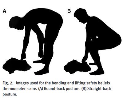 ScandJPain's tweet photo. Despite lack of support from recent studies, bending and lifting with a round back are perceived as dangerous to the back by pain-free people. 👉New study by @jpcaneiro &amp; colleagues from @CurtinUni: https://t.co/B4vFg4jGMJ @PeteOSullivanPT @NicOeveraas @Businessduck @CurtinPhysio https://t.co/PDbdE1zvD7