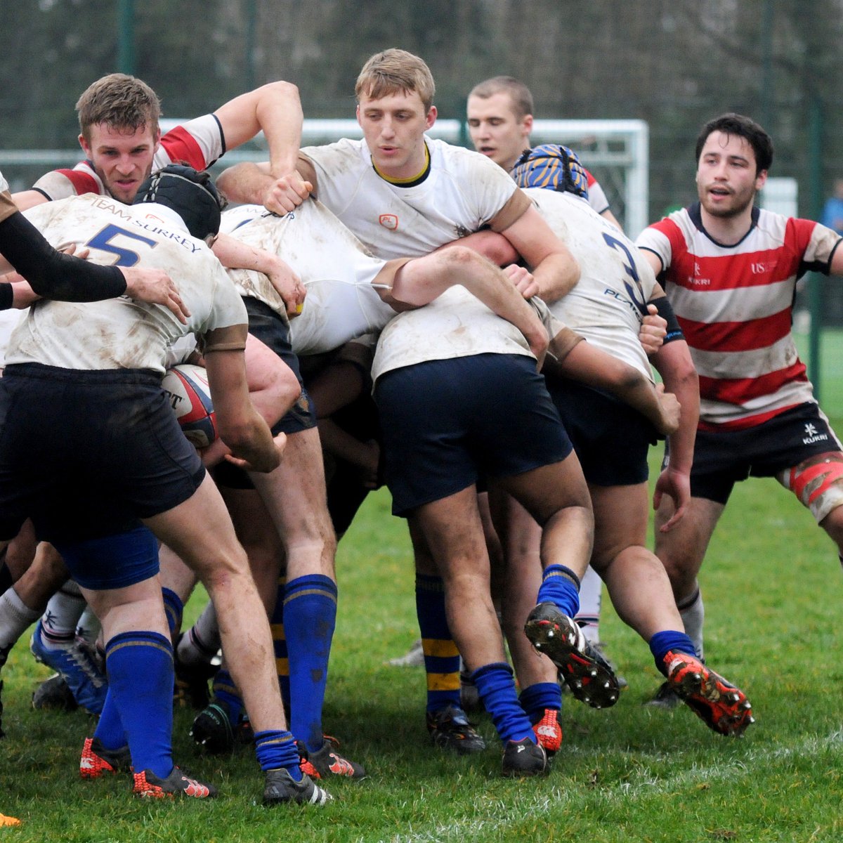 Best of luck to <a href="/sussexmensrugby/">Sussex Men's Rugby</a>'s Jamie Dorman (pic right), who's been shortlisted for <a href="/BUCSsport/">BUCS</a> Unsung Hero at tonight's #BUCSAwards! 🏆🏉🏆
