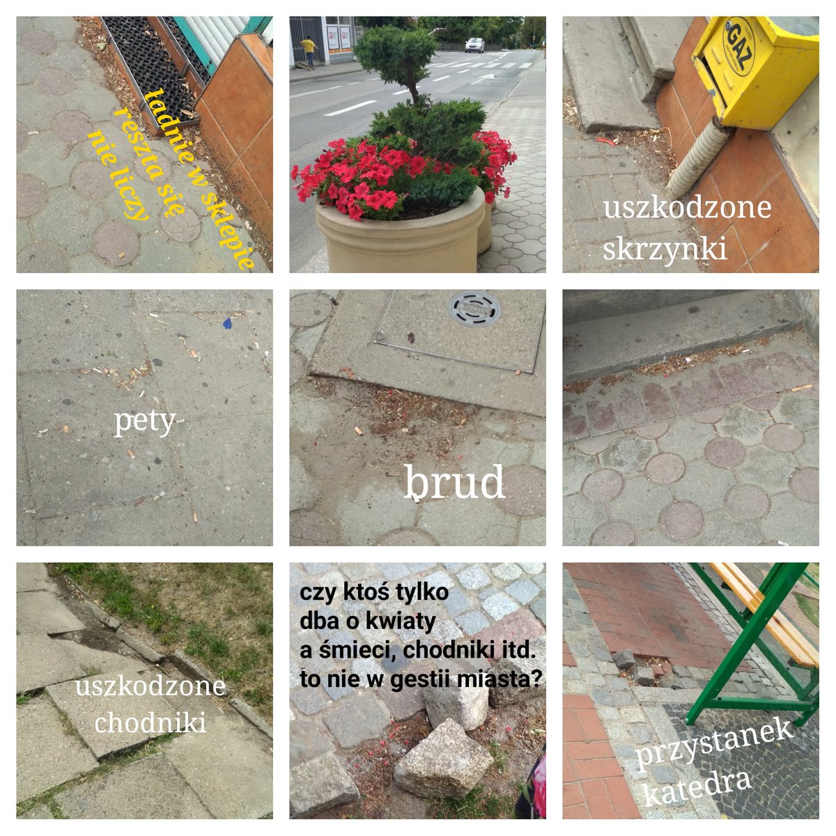 petycjeKwidzyn's tweet photo. #Kwidzyn miasto otwarte na turystów? Hmm oby kiedyś zadbane i sprzątane miasto znów takie było. Kto za to odpowiada w okresie wakacji, nie mówiąc o chodnikach, zniszczonym bruku, przystankach, a gumy i pety to masakra. Przed urzędami również, gdzie obowiązek sklepu o porządek 1/2 https://t.co/ycw1iaR2Mo