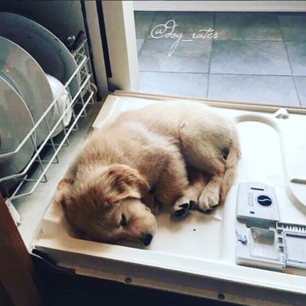 JoeBoxer's tweet image. Sleeping on the Job