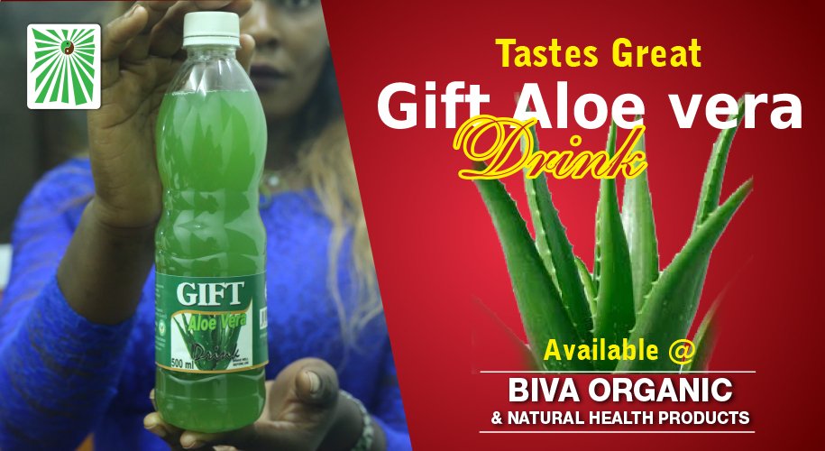 BivaOrganic's tweet photo. Staying hydrated helps your body detox by providing a way for you to purge and flush out impurities. 

Gift Aloe Vera drink packs a hefty punch of nutrients that optimize your body’s organ output.

For more information please talk to Dr.  Senjobe on Whatsapp +256 752 602427 https://t.co/JANzBDKV9Z