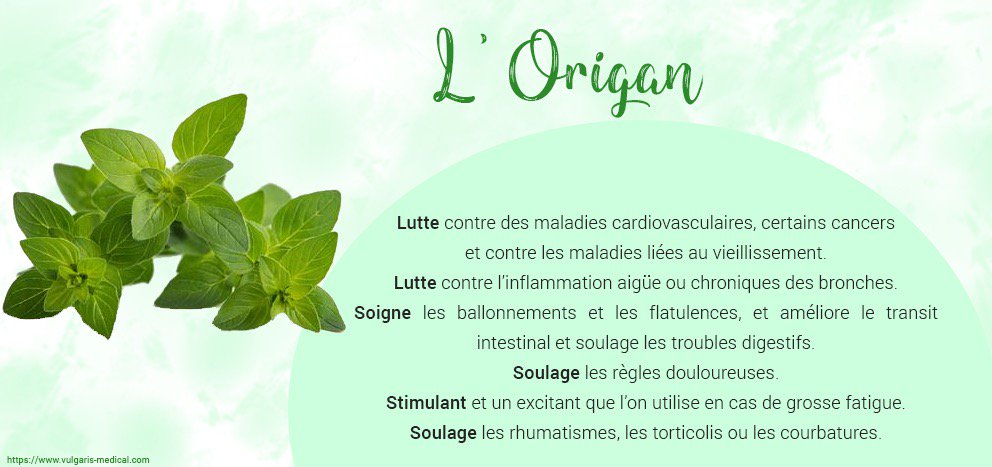 Cook O Sphère tweet media