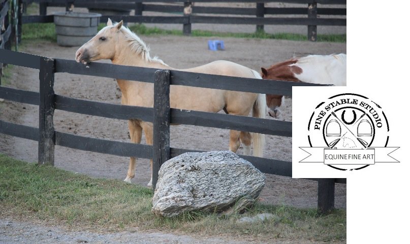 Consider introducing a salt block in extended extreme hot conditions. #horses #equestrians #equines #horsehour