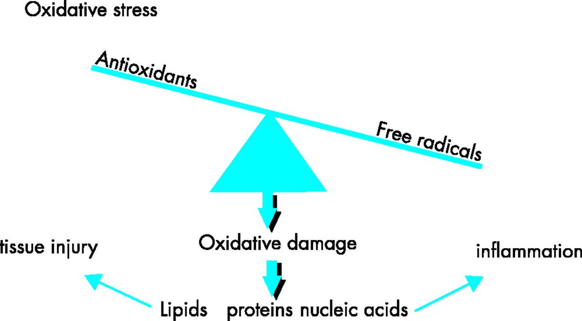 Oxidative damage. Окислительный оксидативный стресс что это такое?. Окислительный стресс. Свободные радикалы. Oxidative stress.