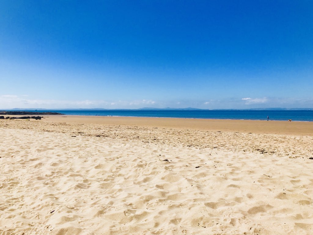 elisabeth sullivan tweet media