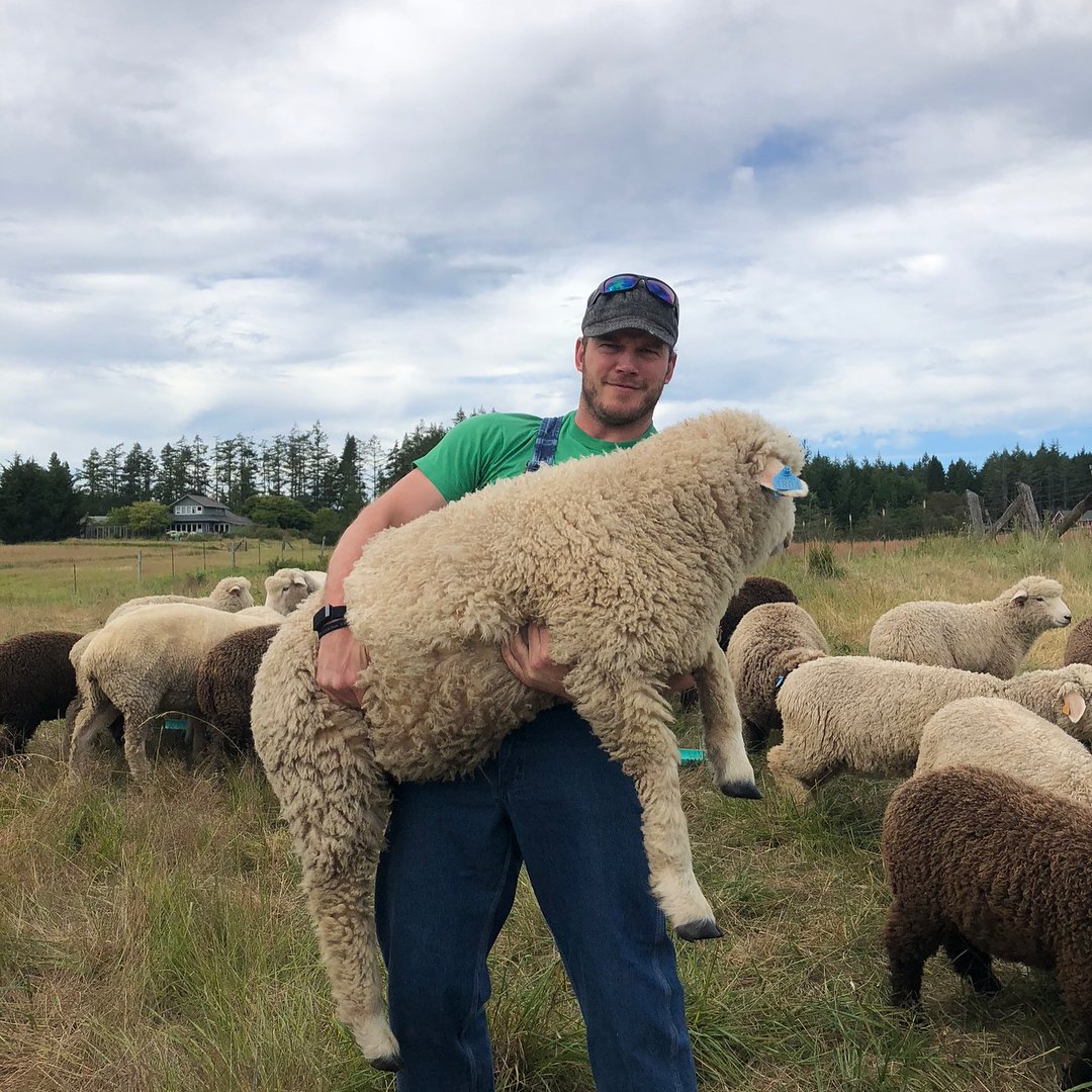 cprattsource's tweet photo. Chris Pratt - with a lamb - dressed as Luigi 😌😅👌 https://t.co/kbBimkk1CU