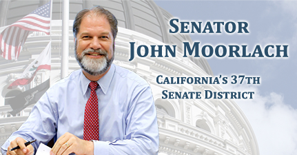 SenatorMoorlach's tweet photo. My latest update, "MOORLACH UPDATE — AB 448" is now up! You can find it here! https://t.co/NPOic7cAv1 https://t.co/MmpHJyb6Cg