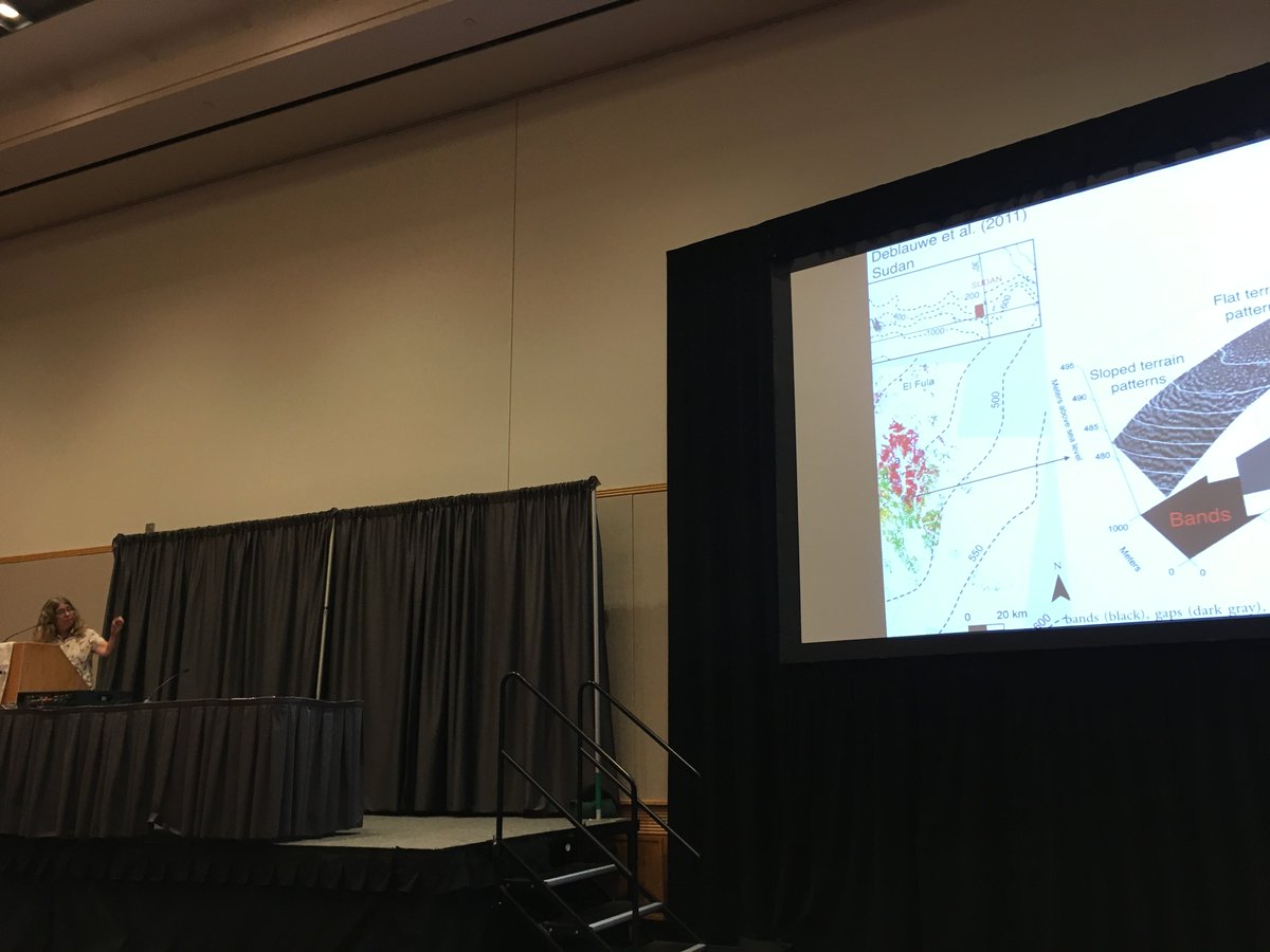 TheSIAMNews's tweet photo. Mary Silver describes models of self-organizing #vegetation patterns. #dynamicalsystems #vegetationpatterns #siaman18 https://t.co/f94poh3yAg