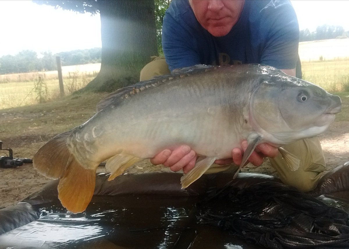 Kenneth31724236's tweet photo. Good day 5 out biggest 20 and 18 https://t.co/wYikMSS8sH