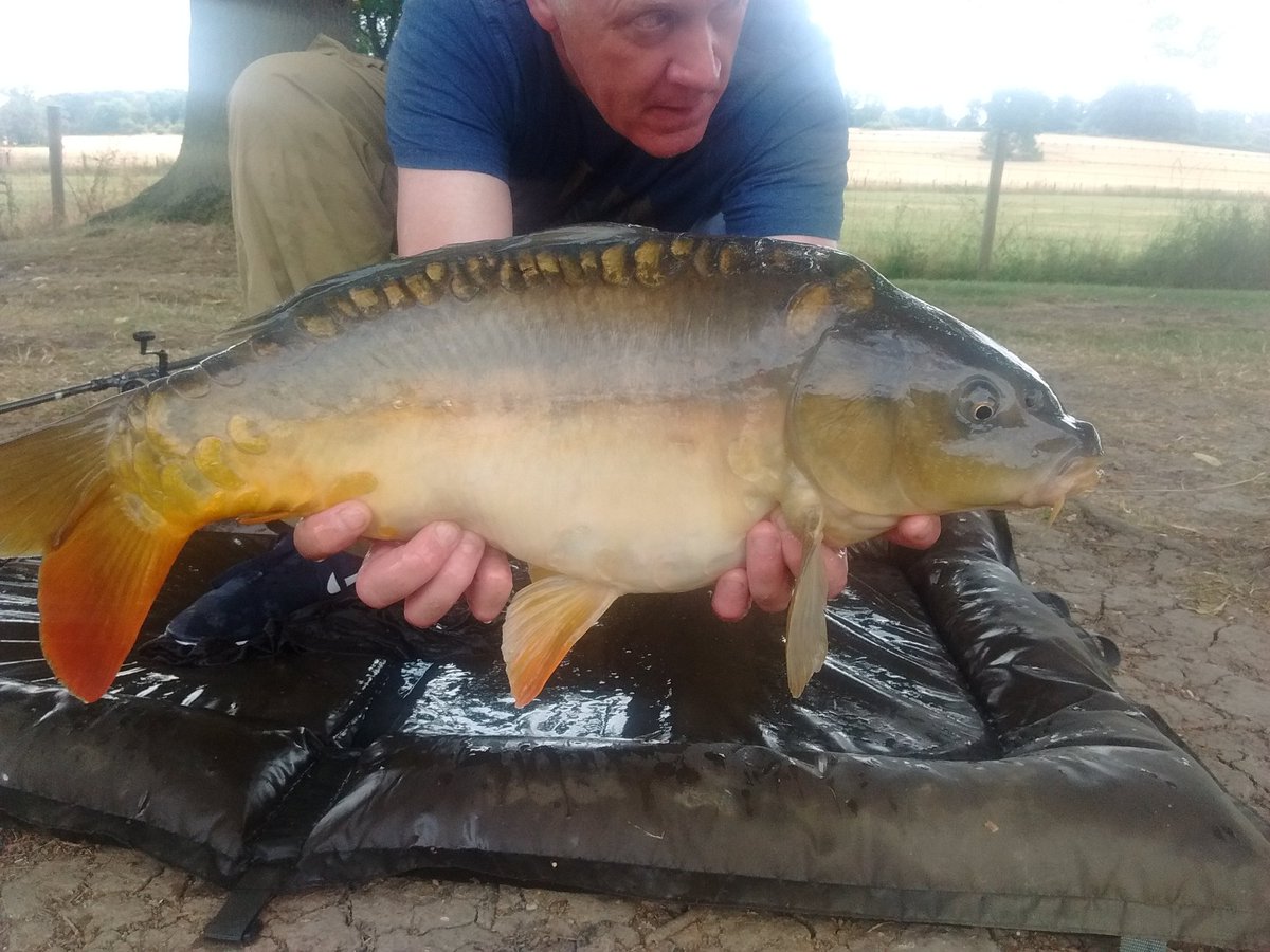 Kenneth31724236's tweet photo. Good day 5 out biggest 20 and 18 https://t.co/wYikMSS8sH