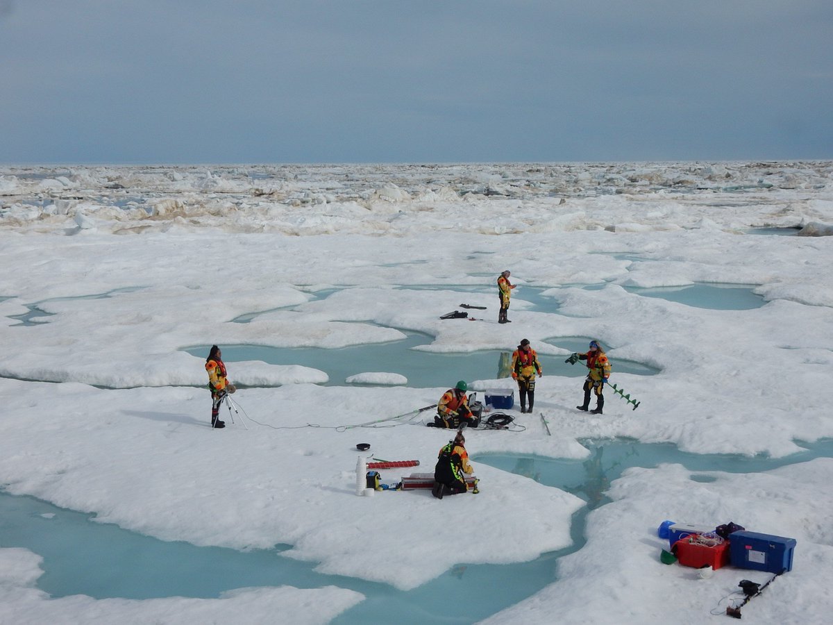 ceos_um's tweet photo. Team members from @CeosUofm collect samples on an ice floe. @umanitoba @um_research @Research_MB @CoastGuardCAN @ArcticNet #baysys @FishOceansCAN https://t.co/YPHmj4Pdpz