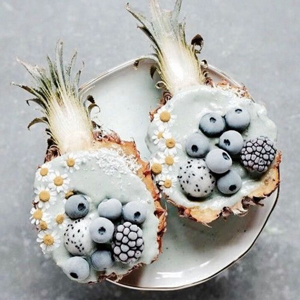 Tick back the hands of Father Time with our antioxidant-packed, age defying Blueberry Pie Smoothie! This potent combination is proven to help support brain function, memory &amp; neutralize free radicals that cause aging blog.kuranutrition.com/recipes/bluebe…