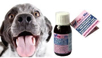 GoodVetPetGuide's tweet image. .@PetproBio PetproBio is a 100% natural pre-probiotic additive that enhances your #pets health and overall vitality. It can aid appetite, feed conversion, well being and the level of resistance in your animals. 
bit.ly/2BLncci