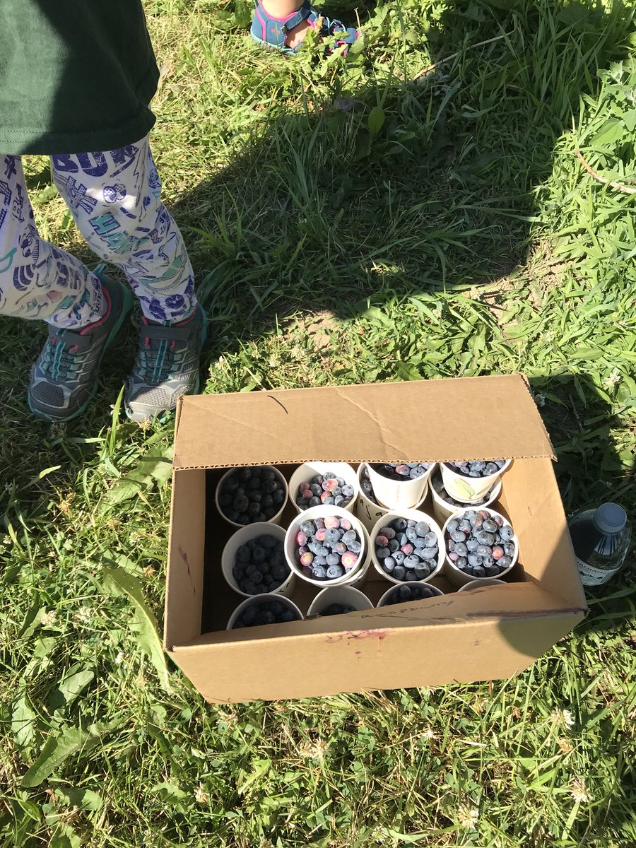 LearningGoals's tweet photo. @camp_sail Farm Fun at Andrews Scenic Acres https://t.co/kP0SAyGoD1