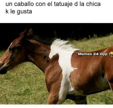 laasqueroso's tweet photo. jajajaja https://t.co/cEGbPFkIXP