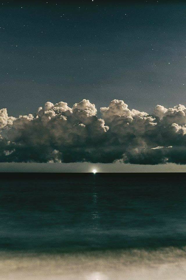 Rachele@ARA tweet media