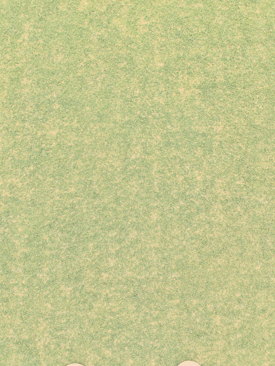 CMbalgownie's tweet photo. 120 hours after we finished pot seeding with @ToroGolf Procore before applying @BarenbrugUK fescue @Hughkingsand we are seeing some good recoveryโณ๏ธ๐ฑ๐Should see some germination in a week or so #potseeding #fescue #progress #linksgolf #optimumconditions #recovery https://t.co/DQWYjQAd9D
