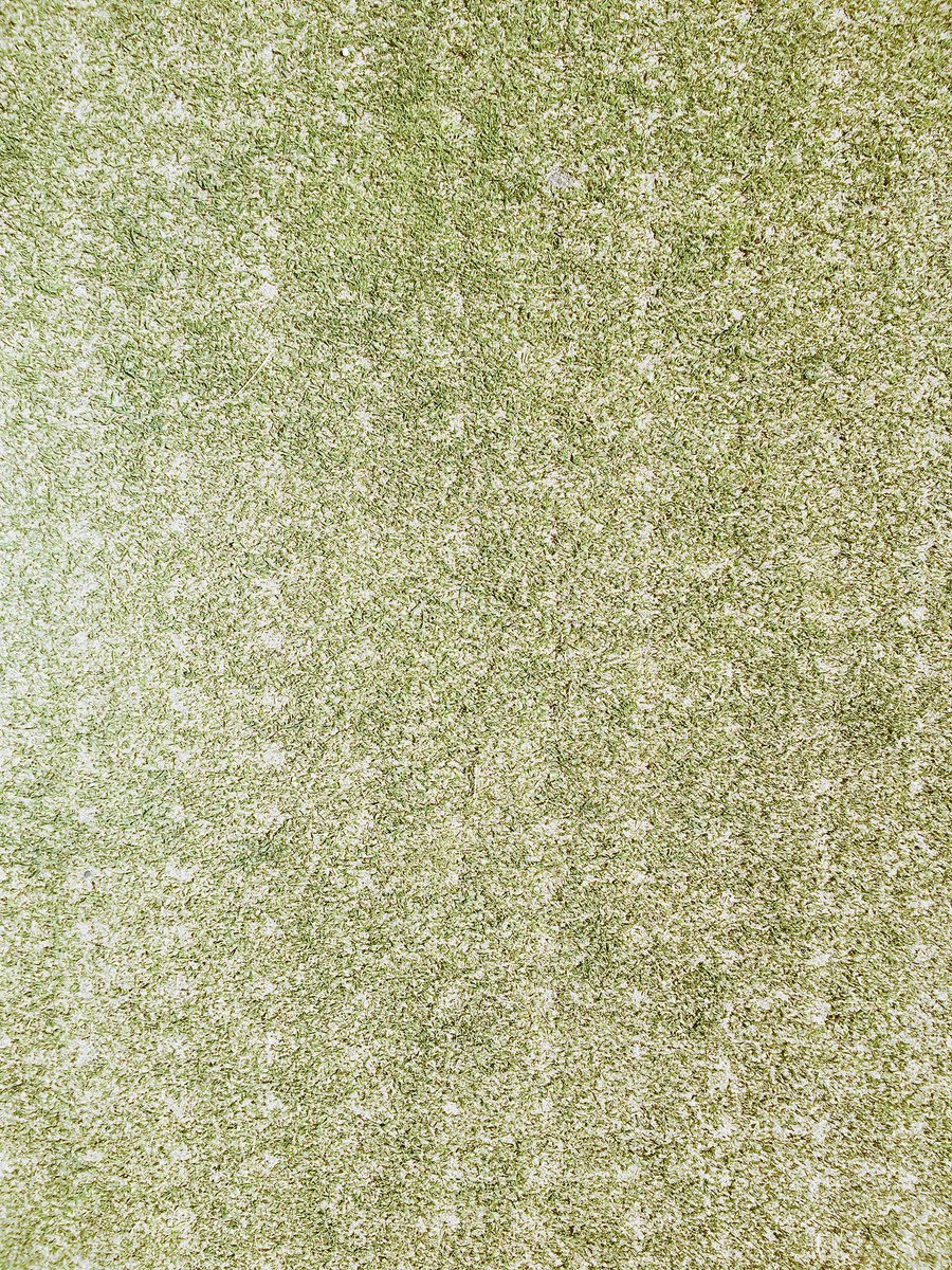 CMbalgownie's tweet photo. 120 hours after we finished pot seeding with @ToroGolf Procore before applying @BarenbrugUK fescue @Hughkingsand we are seeing some good recoveryโณ๏ธ๐ฑ๐Should see some germination in a week or so #potseeding #fescue #progress #linksgolf #optimumconditions #recovery https://t.co/DQWYjQAd9D