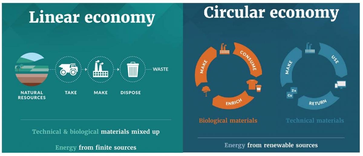 Ellen MacArthur Foundation on Twitter: "New Zealand's government is one of  several that are beginning to lead national agendas focused on the # circulareconomy.