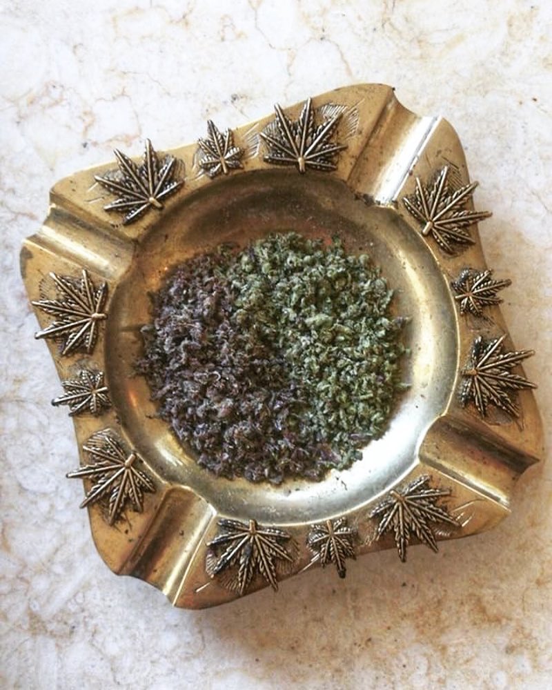 WeedGrowHub's tweet image. Colors of cannabis brightening up your Monday like..🖤✨ #bluntedobjects #colorsofcannabis