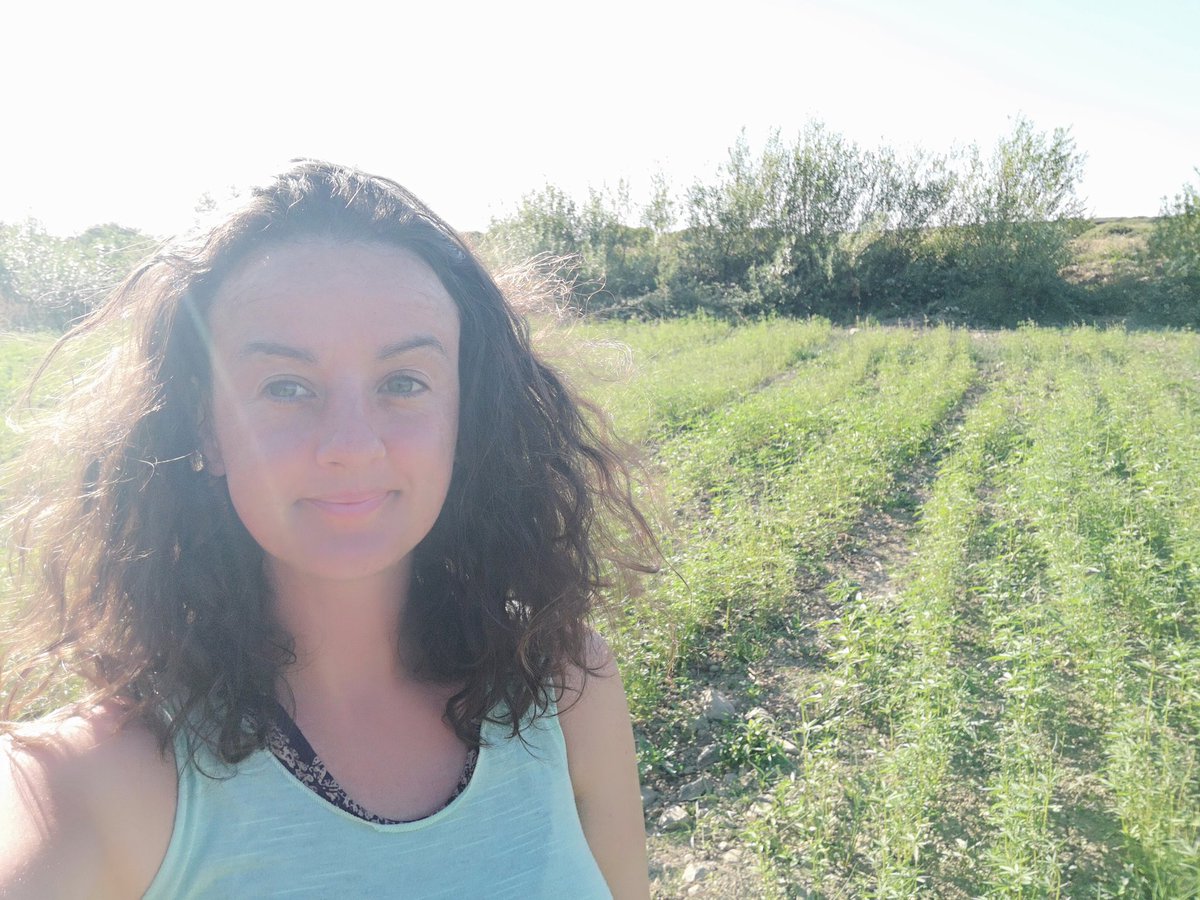 canabaoil's tweet photo. Enjoying my pod cast hug from @Rubberbandits while pulling weeds on the Farm. #irishhemp #CountyClare #irishcbd https://t.co/Nbuvdhx5Nb