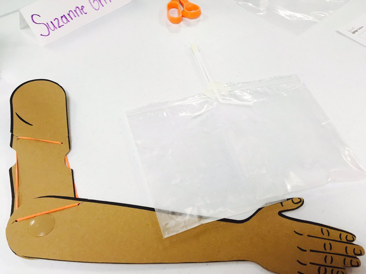 IC_MrsGriffith's tweet photo. Leaning continues at PLTW training. Working through the Human Body Module and using the Engineering Design Process. #PLTW #stem #icepd https://t.co/FBidc477rR