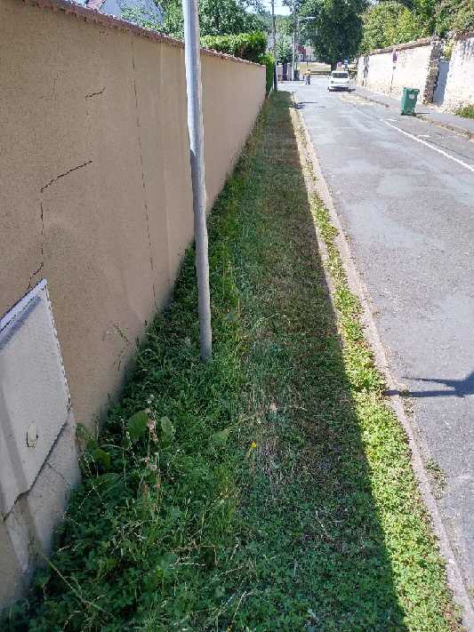 Aujourd’hui nous étions à Bonnelles, village des Yvelines qui agit pour la #biodiversité, à son échelle et avec le soutien du PNR de la Haute Vallée de Chevreuse. #RNR, phyto-épuration, trottoirs enherbés...